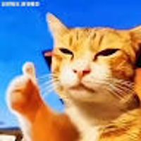 imagine profil Albert