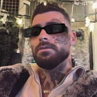 imagine profil Shogunul