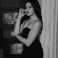 imagine profil Maggiore