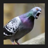 imagine profil Gorbaciov