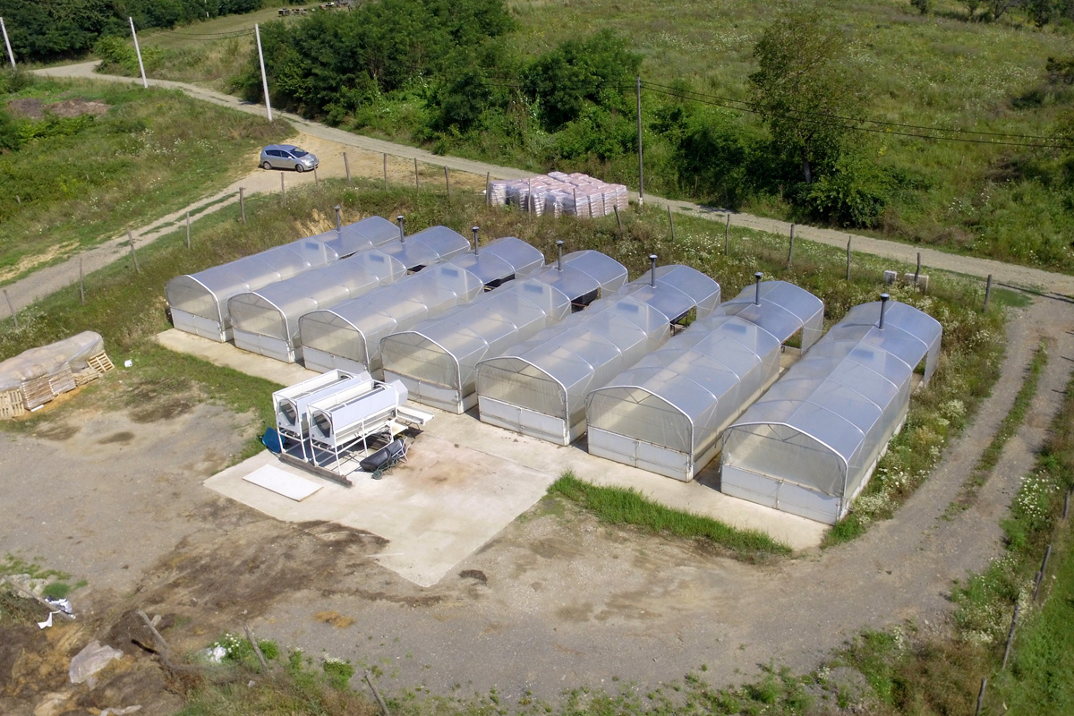 Istaknuta fotografija