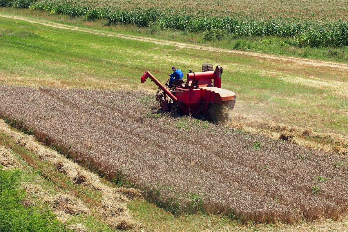 Istaknuta fotografija