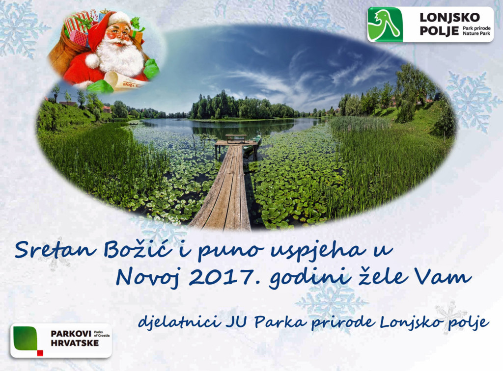 CESTITKA_LONJSKO POLJE