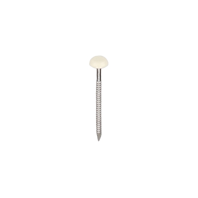 RVS polytop spijker 30mm 250 stuks