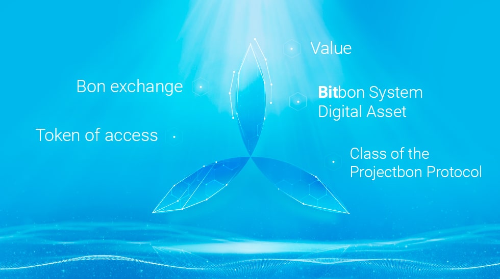 Adapting the Bitbon System to Standards of International Law