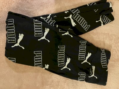 Puma tajice