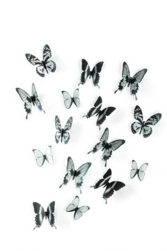 Dekorace na zeď Umbra Chrysalis - černo/čirá Dekorace na zeď Umbra Chrysalis - černo/čirá