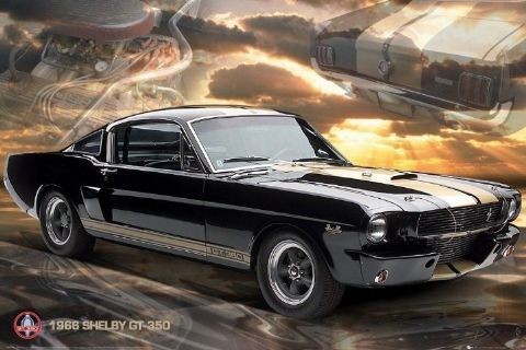 Posters Plakát, Obraz - Ford Shelby - Mustang 66 gt350, (91,5 x 61 cm) Posters Plakát, Obraz - Ford Shelby - Mustang 66 gt350, (91,5 x 61 cm)