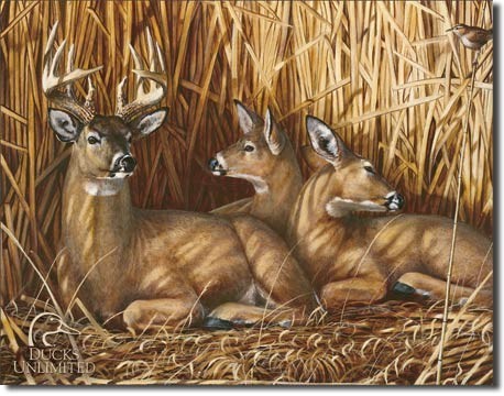 Posters Plechová cedule DU - hideaway, (41 x 32 cm) Posters Plechová cedule DU - hideaway, (41 x 32 cm)