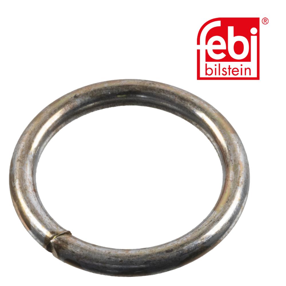 ring voor remschoenrol