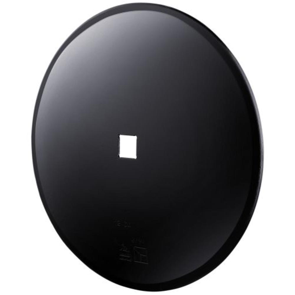 Gladde schijf √ò810x10