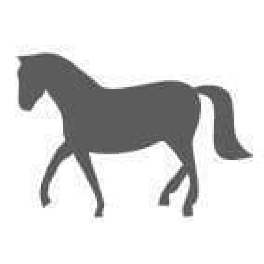 Angled front view with bag zipped and handles upright.