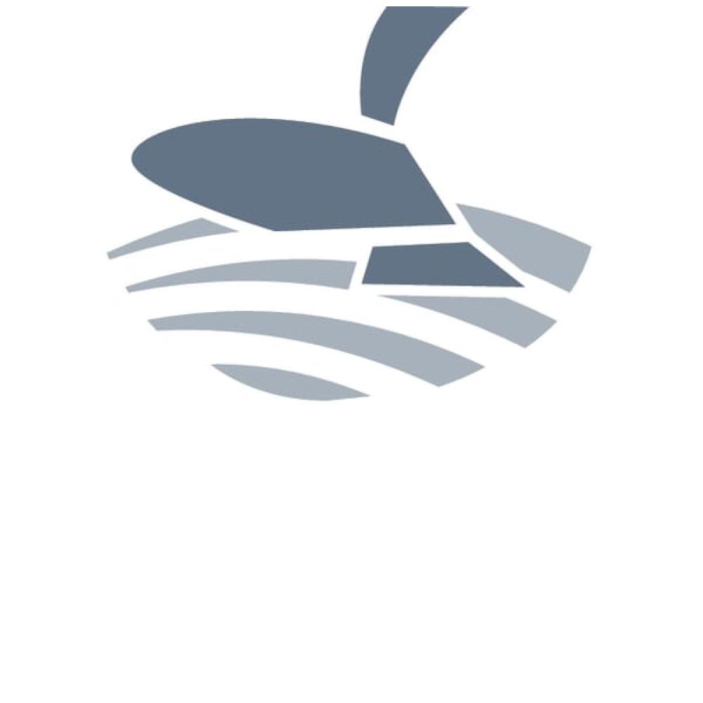 Ploegbout M12X45  moer