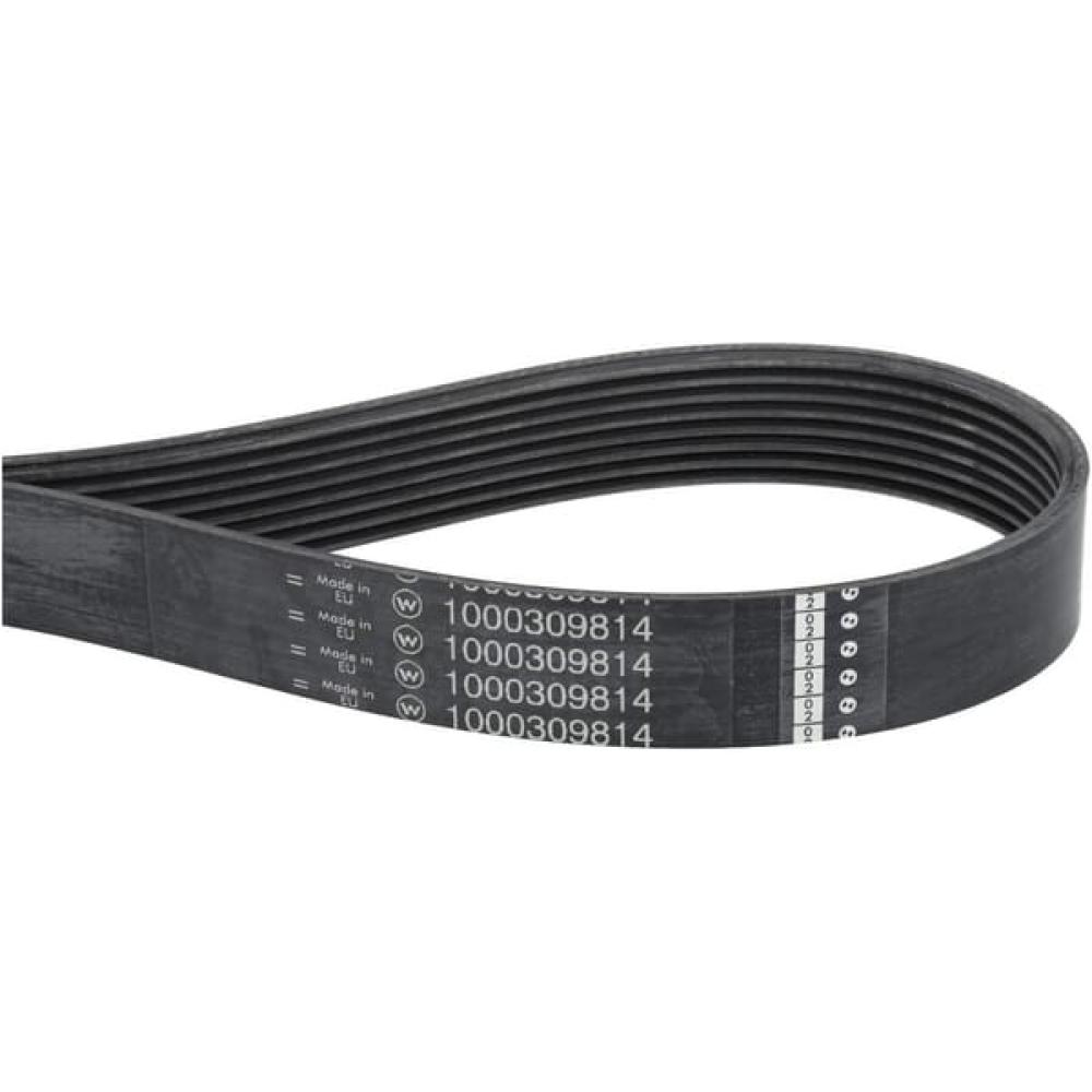 V-belt