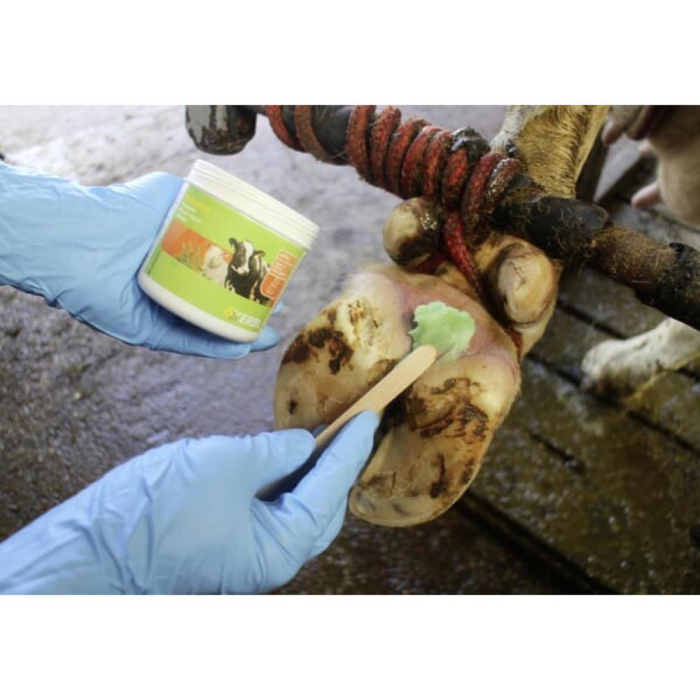 Hoof paste Podoseptan 2.0 450ml