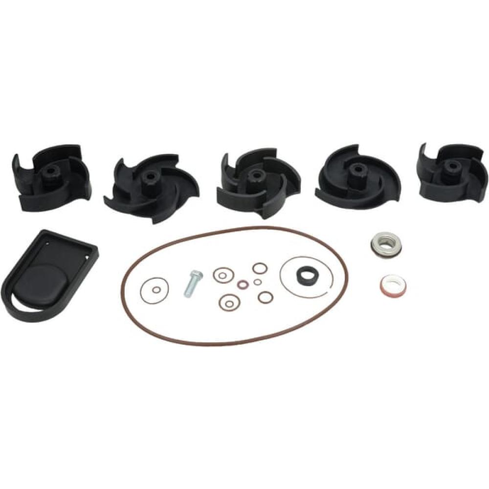 Reparatursatz, 2" Poly-Pumpe, FKM