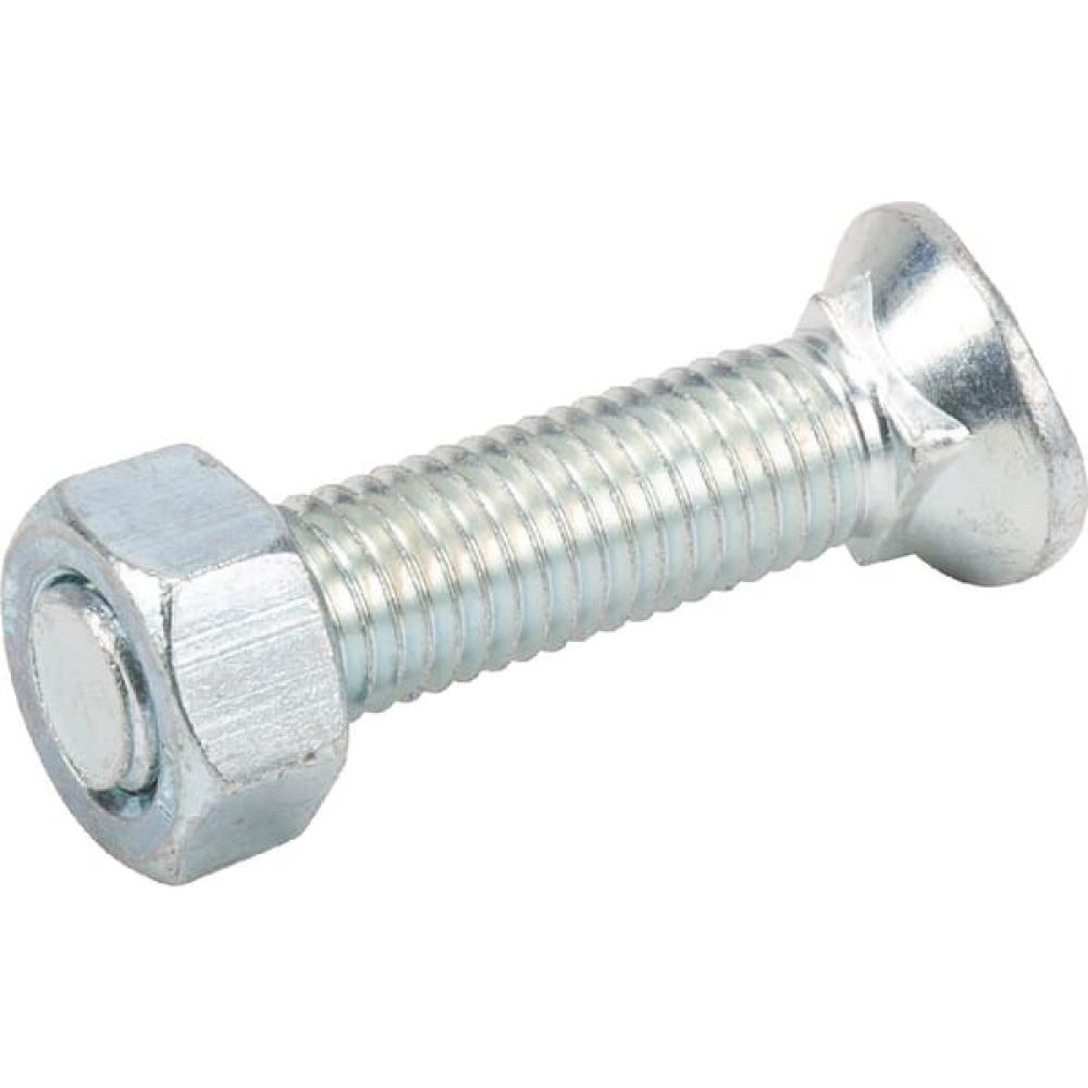 Boutenset (20) M12x55mm
