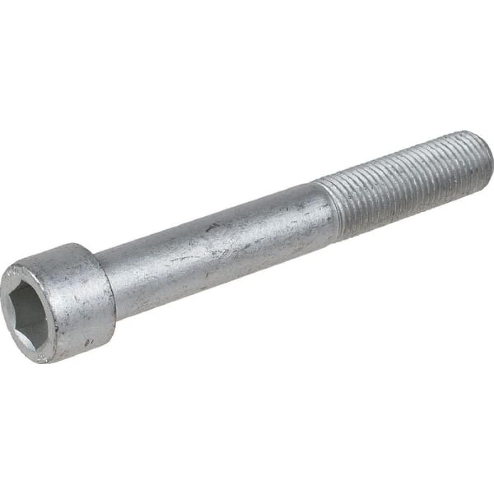 Inbusbout M14X1,5X100 10.9