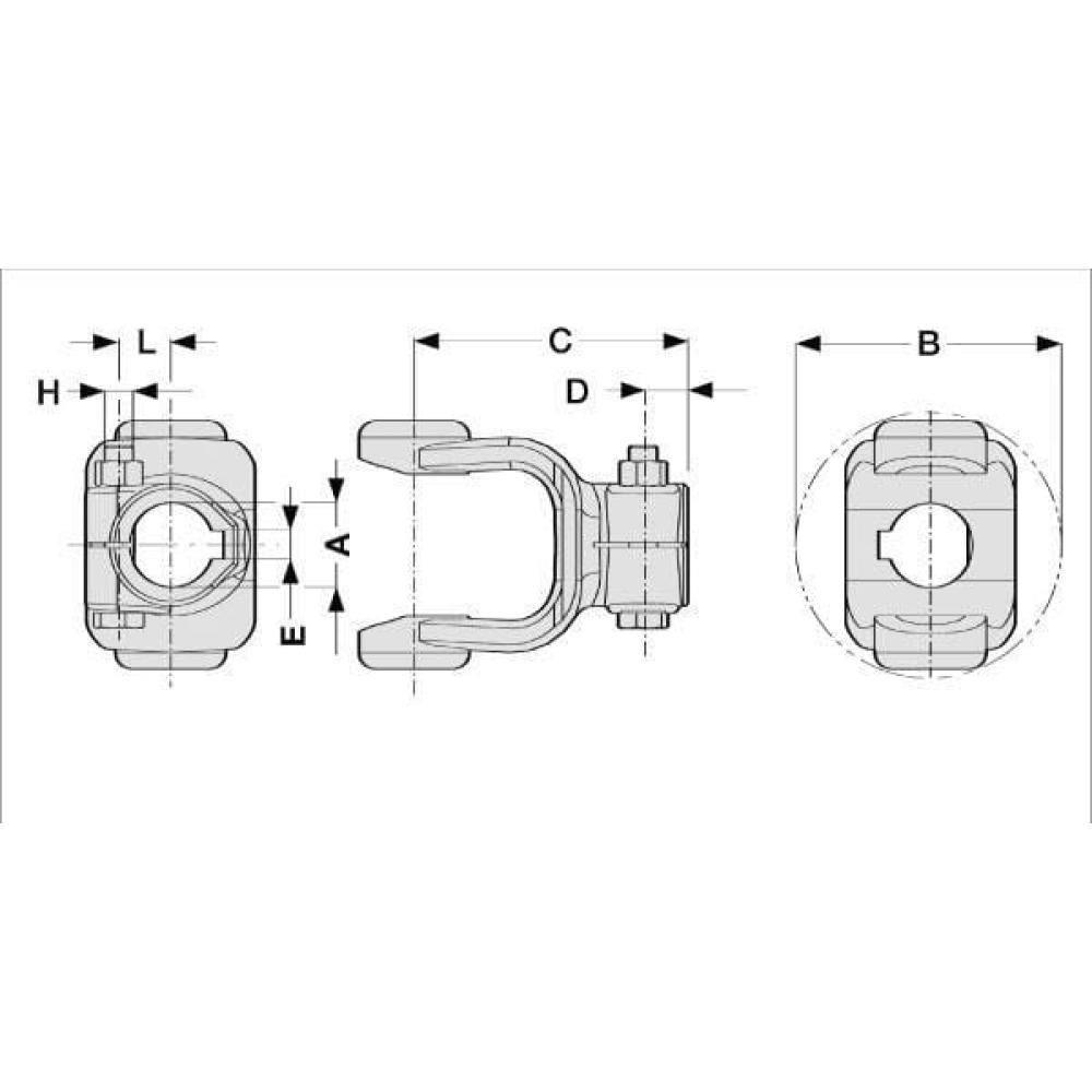 Gaffel Ø40+ 12 spie + klembout