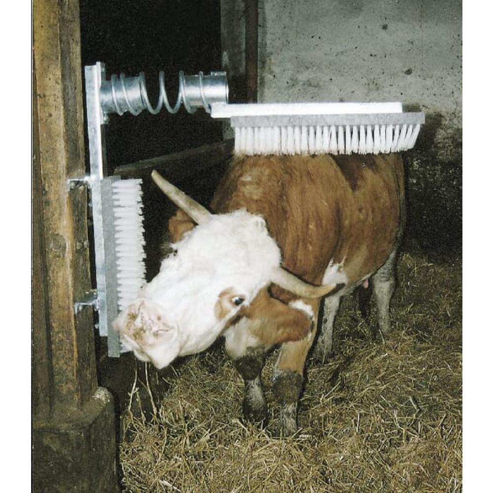 Veeborstel EuroFarm