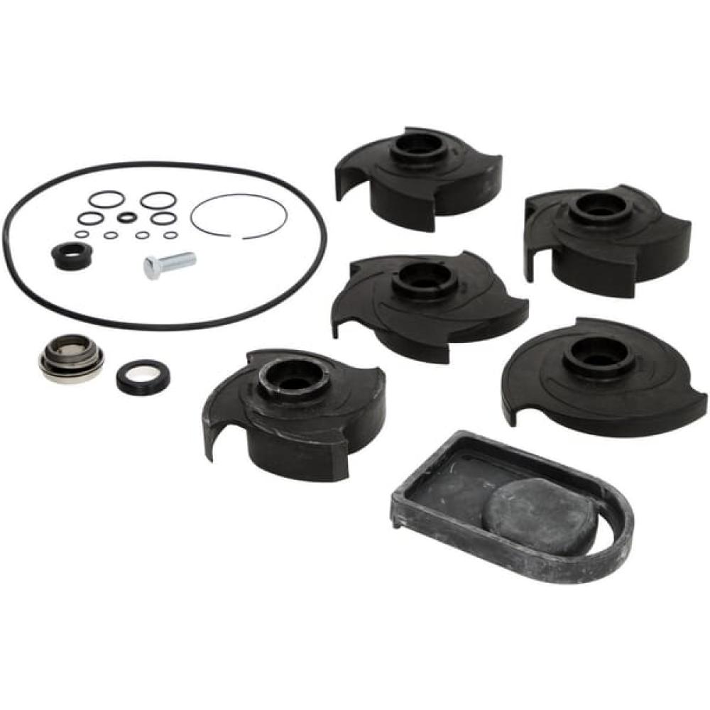Reparatursatz, 2", Poly-Pumpe, FKM