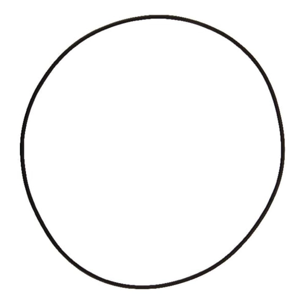 O-ring 164,77x2,62