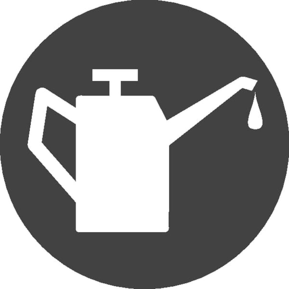 Veiligheidsklompen S3 maat 41