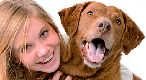 Honden zijn gevoelig voor toon menselijke stem