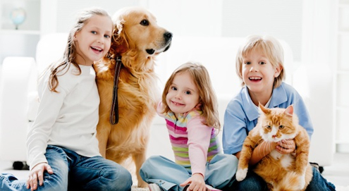 Kinderen en huisdieren