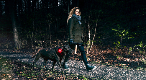 Ist Ihr Hund gut sichtbar im Dunkeln?