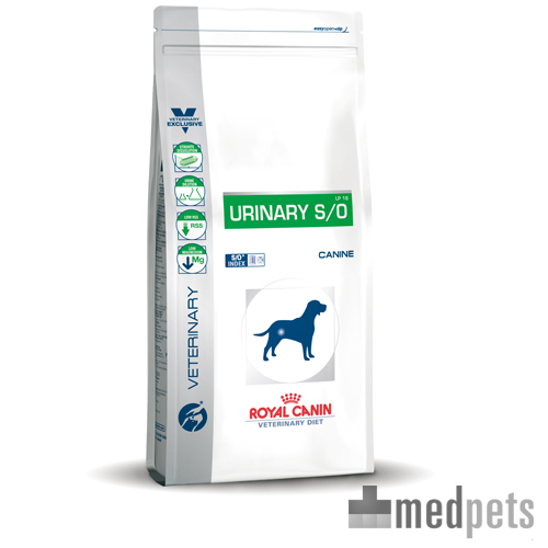 Royal Canin Urinary S/O bestellen Blasenentzündungen und
