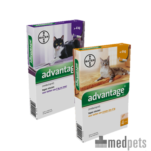 Produktbild von Advantage Katze