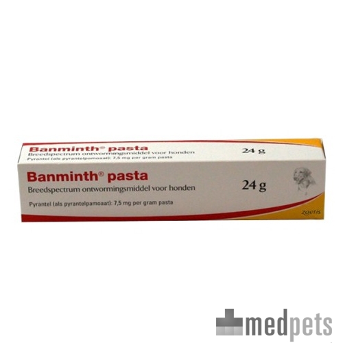 Produktbild von Banminth Paste Hund