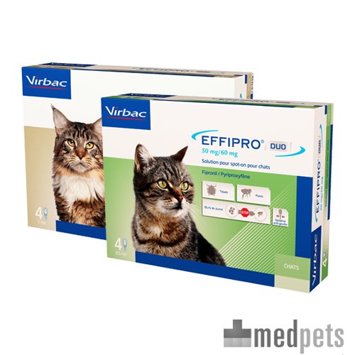 Produktbild von Effipro DUO Spot-on Katze