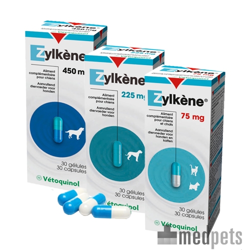 Produktbild von Zylkène