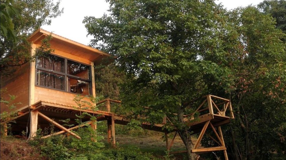 The-tree-cottage the tree cottage apuseni - cazari izolate in Romania