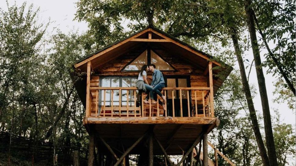 Loft Treehouse - casa in copac România Cazări izolate în România