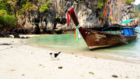 Thailanda - condiții de călătorie