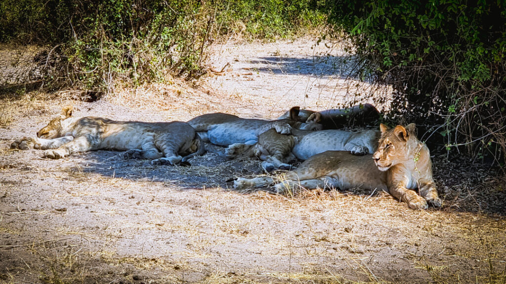 Itinerariu - Botswana