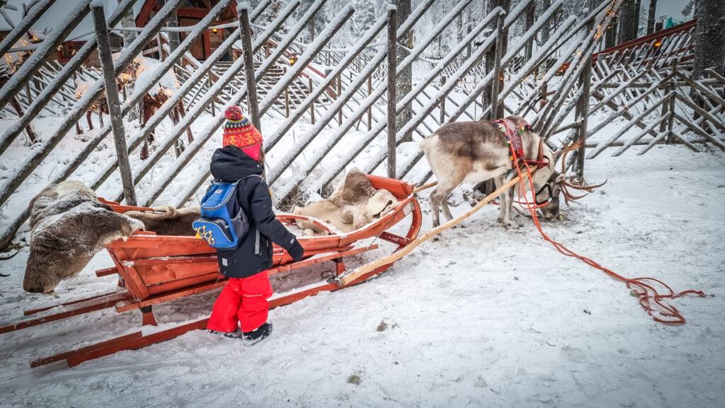 Rovaniemi, Laponia - informații utile pentru a organiza o vizită la Moș Crăciun