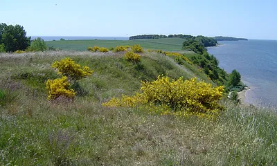 Der "Fliegerberg" mit Blick auf die Having und Reddevitzer Höft direkt an der Bungalowsiedlung gelegen.