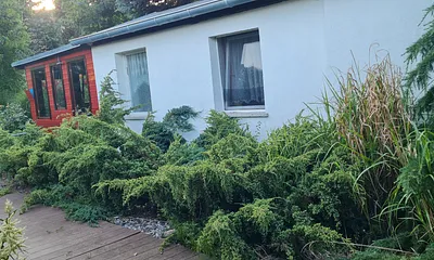 Der Bungalow im Grünen.