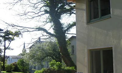 Blick von der Terrasse in den Garten