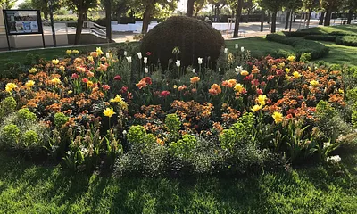 Blütenpracht an der Promenade 