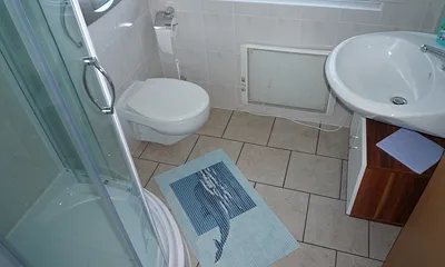 das Bad mit Dusche & WC