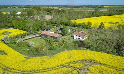 Mitten in der Ruhe