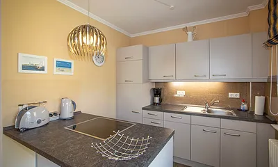 Neue Küchenzeile mit Geschirrspüler, Kühlschrank, Backoffen, Mikrowelle und alles was eine Küche braucht. 