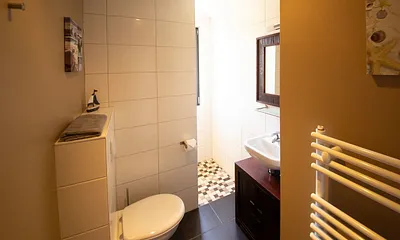 Bad mit begehbarer Dusche und WC/Waschtisch