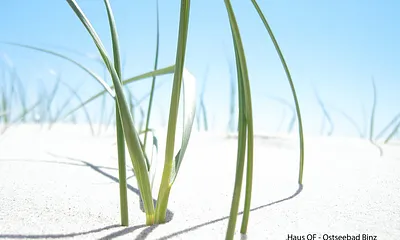 feinster Sandstrand in Binz