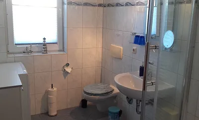 Badezimmer mit WC und Dusche, Waschmaschine, Fön, Kosmetikspiegel